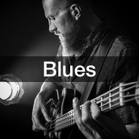Notre sélection de  groupes de blues spécialisés dans l'animation évènementielle.