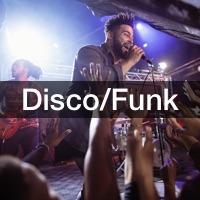 Nos groupes Disco Funk pour l'animation de vos soirées et évènement corporate.
